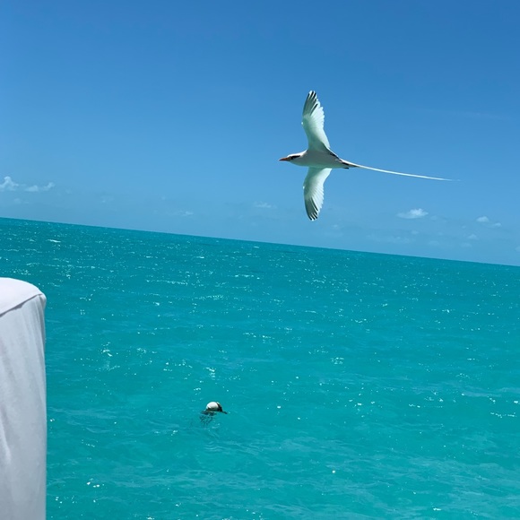 Meet your Posher, Kristina - Picture 1 of 1